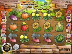 Cream of the Crop Slots